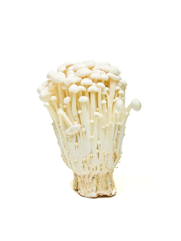 FIRST PICK ENOKI MUSHROOM 100G