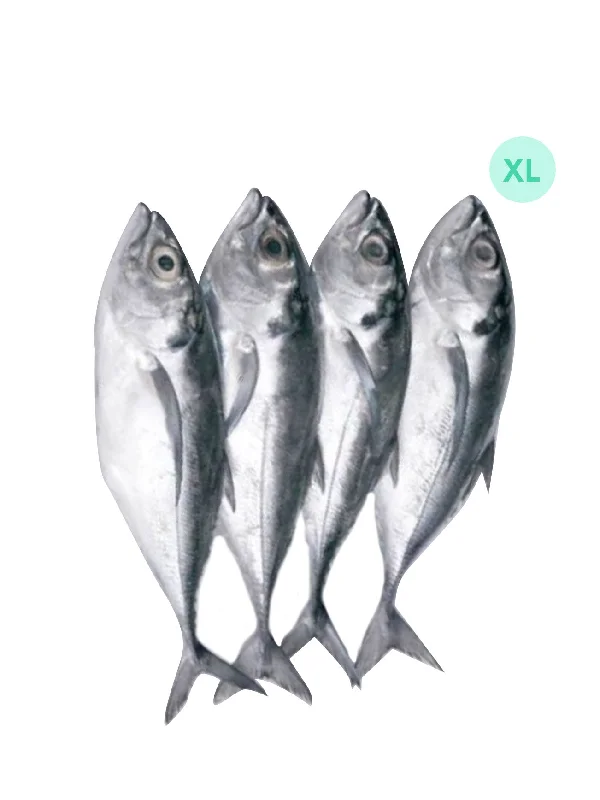 IKAN CINCARU XL (+/-1KG)