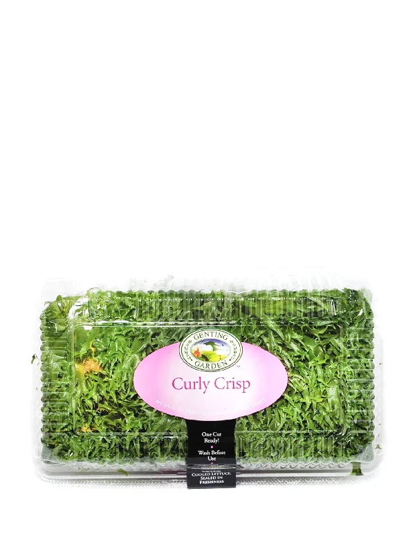 GG CURLY CRISP LETTUCE PKT