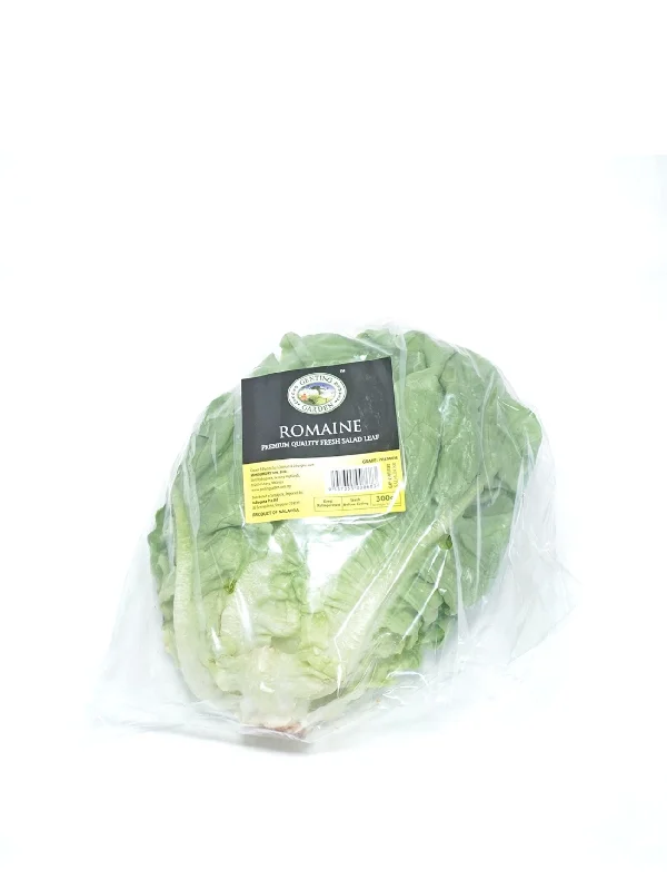 GG ROMAINE LETTUCE PKT