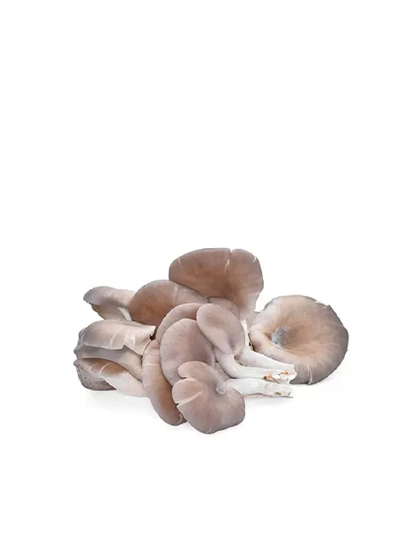 FAVRIC GREY OYSTER MUSHROOM 200G