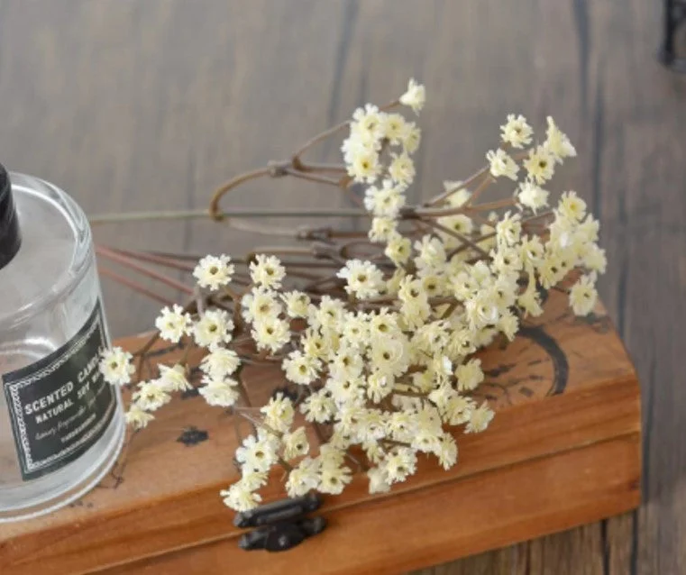 White Baby’s Breath 20cm #94858