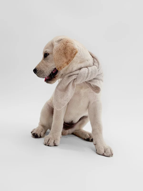 The Cashmere Dog Bandana