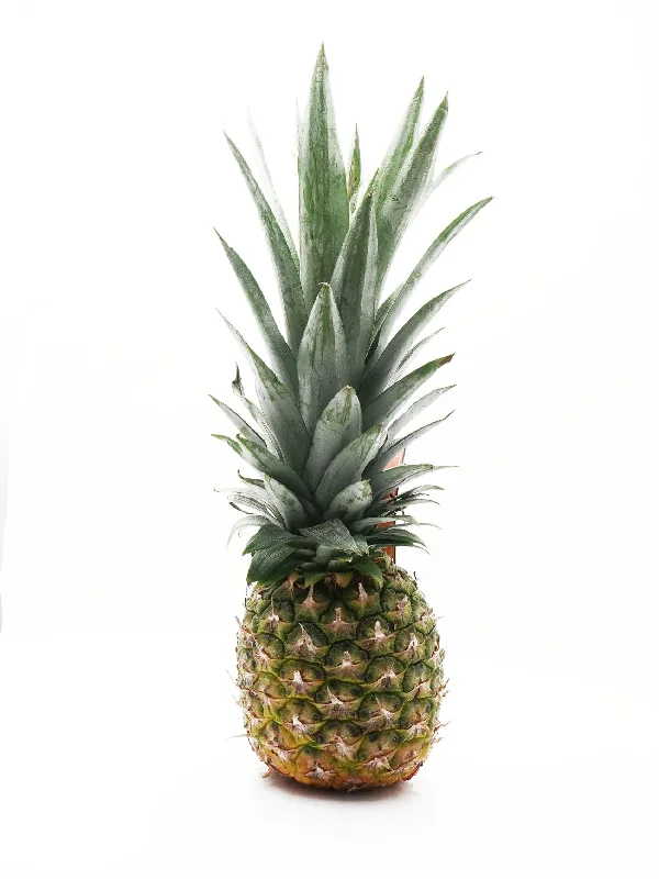 GOLDEN MD2 PINEAPPLE PC (+/- 800G)