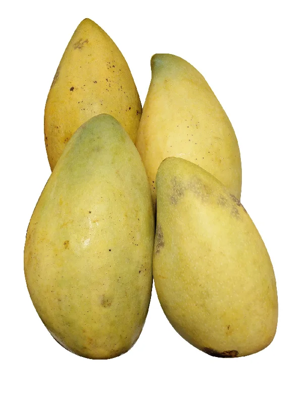 GOLDEN PHOENIX MANGO (+/-800G)