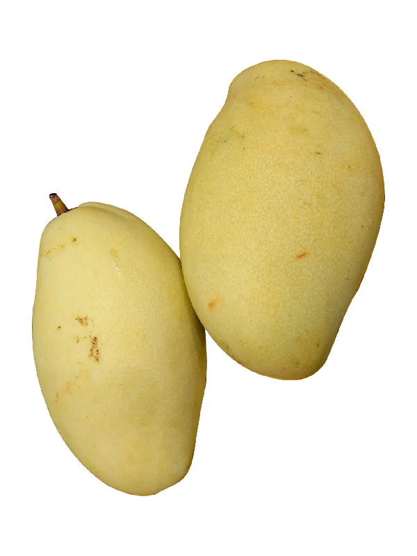 GOLDEN SUSU MANGO (+/-700G)