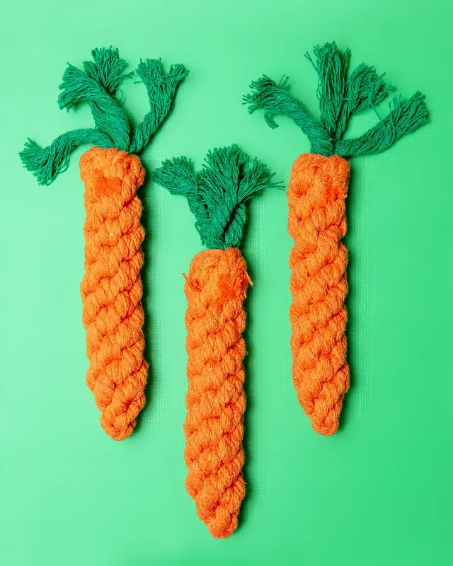 Eco-Friendly Carrot Rope Dog Toy