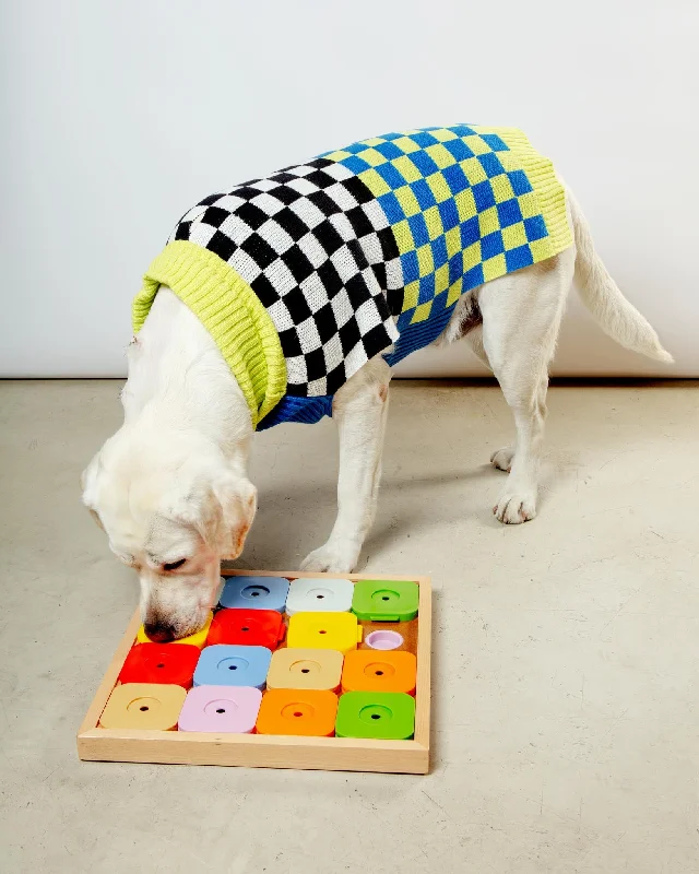 Sudoku Dog Treat Puzzle Game in Rainbow Edition (16 squares)