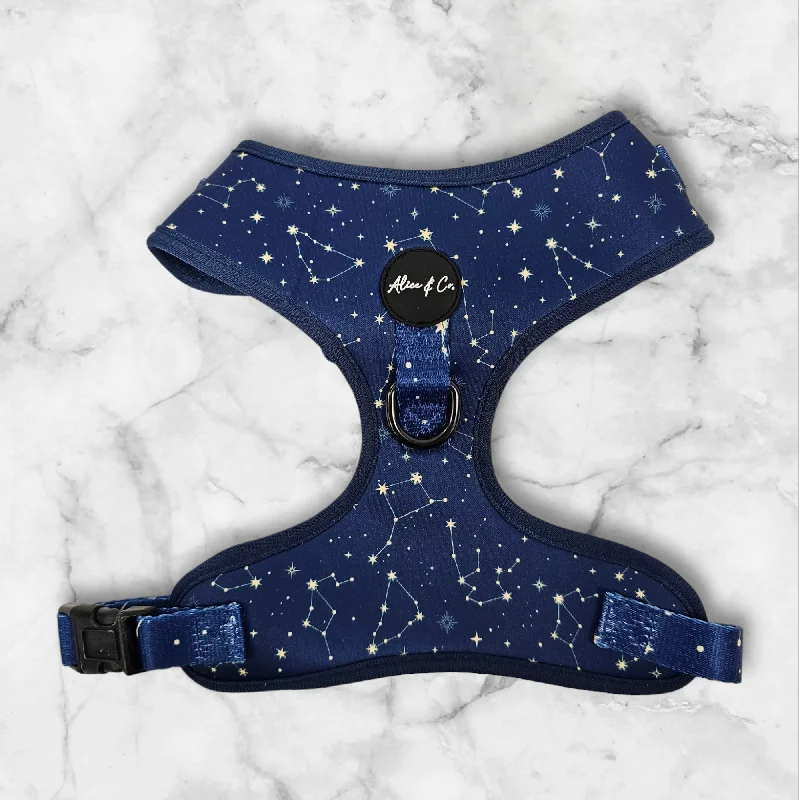 Alice & Co - Harness - Star Gaze