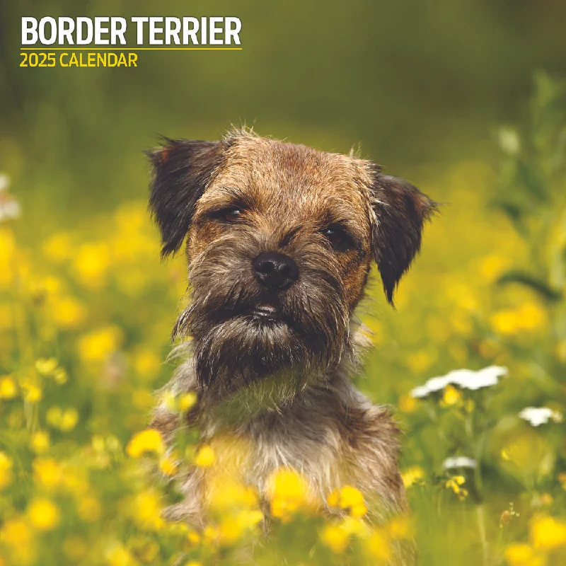 Border Terrier Traditional Wall Calendar 2025