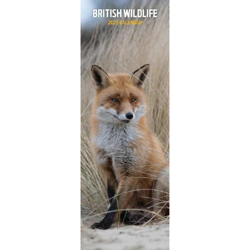 British Wildlife Slim Wall Calendar 2025