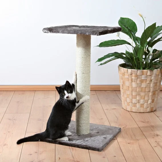 Espejo Scratching Post 69cm