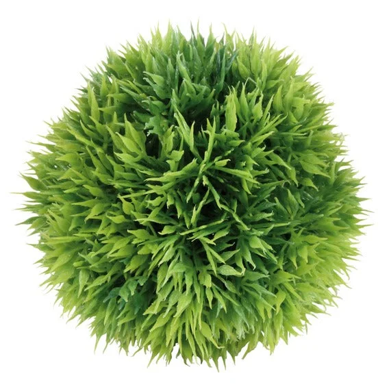 Moss Ball for Aquariums